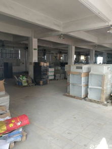 公明南光高速出口精品小獨(dú)院廠房招租及商務(wù)信息咨詢服務(wù)