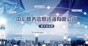 安順項(xiàng)目申請(qǐng)報(bào)告全程商務(wù)信息咨詢服務(wù)可行性分析